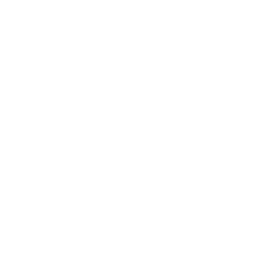 Logo DFV